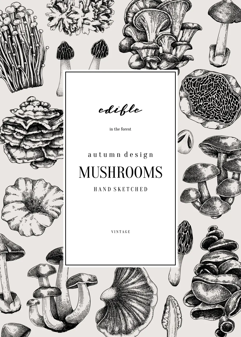 Forest mushrooms background. Edible mushrooms frame, vinatge card design. Fungi, healthy food, vegan product sketches. Vintage autumn hand-drawn vector illustration. Engraved design template Illustration